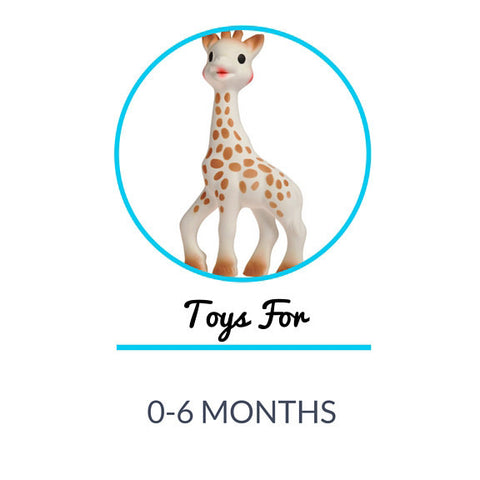 Toys For 0-6 Month Olds