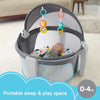 Activity Gyms And Play Centers - Fisher-Price On-the-Go Baby Dome