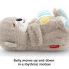 Fisher-Price Soothe 'n Snuggle Otter