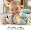Fisher-Price Soothe 'n Snuggle Otter