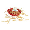 Yeti in My Spaghetti