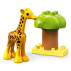 Blocks And Bricks - LEGO 10971 Duplo Wild Animals Of Africa