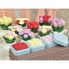 Calico Critters Blooming Flower Shop