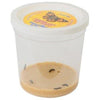 Fun With Nature - Insect Lore Butterfly Garden Growing Kit