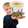 Fun With Nature - Insect Lore Butterfly Garden Growing Kit
