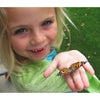 Fun With Nature - Insect Lore Butterfly Garden Growing Kit