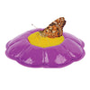Fun With Nature - Insect Lore Butterfly Garden Growing Kit