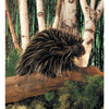 Folkmanis Porcupine Hand Puppet - Hand Puppets - Anglo Dutch Pools and Toys
