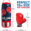Indoor Active Games - Franklin Future Champs Mini Punching Bag & Glove Set