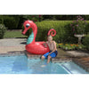 Inflatables And Rafts - Poolmaster Coral Seahorse Inflatable Tube 48"