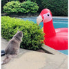 Inflatables And Rafts - Swimline Giant Parrot Inflatable Float