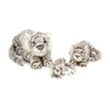 Jellycat Sacha Snow Tiger