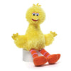 Licensed Plush Characters - Gund Sesame Street Big Bird 14"
