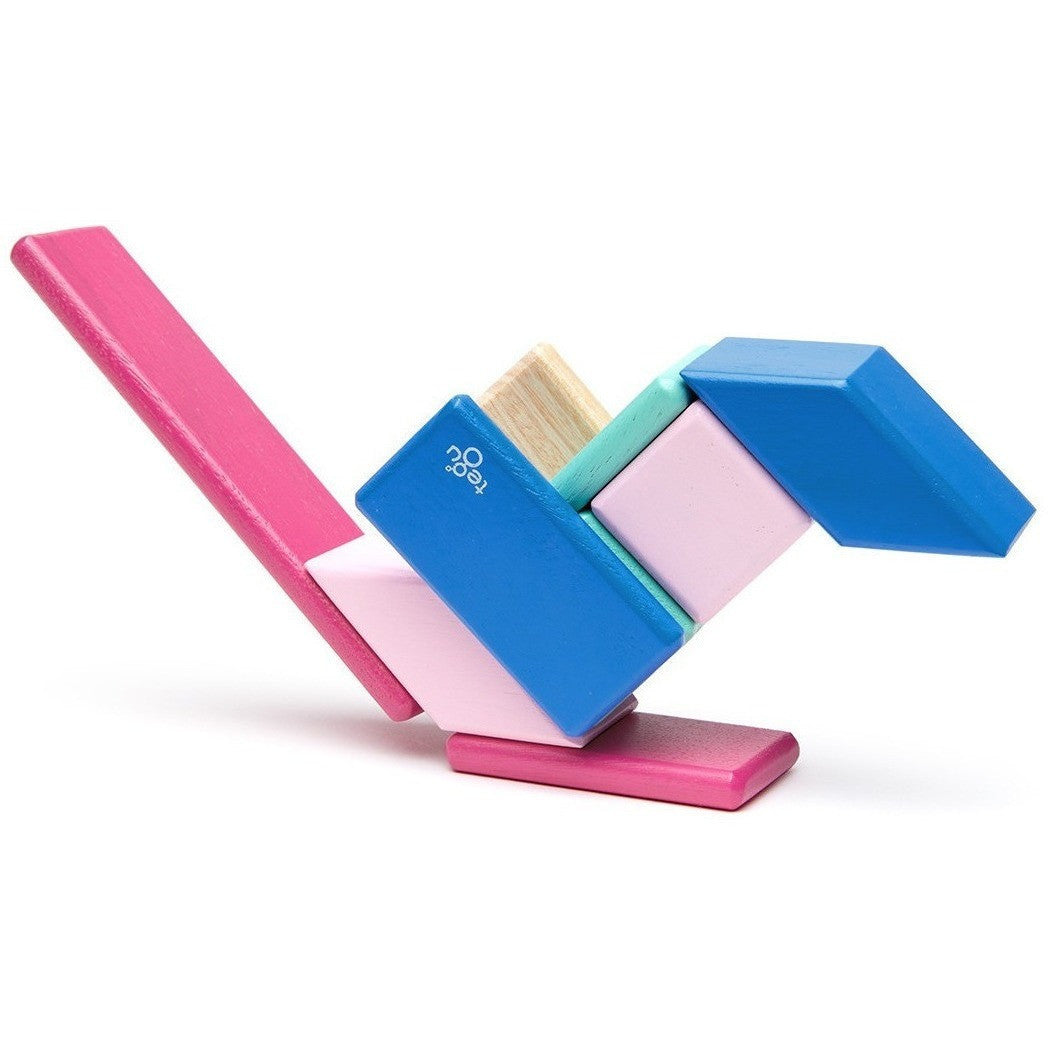 Tegu 14 Piece Wooden Block Set Blossom Building Sets