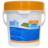Pool Sanitizers - Poolife 3 Inch Cleaning Tablets