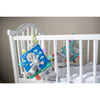 Taggies Crinkle Me Harley Raccoon 6.5"