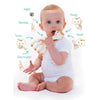Vulli Sophie the Giraffe - Rattles and Teethers - Anglo Dutch Pools and Toys