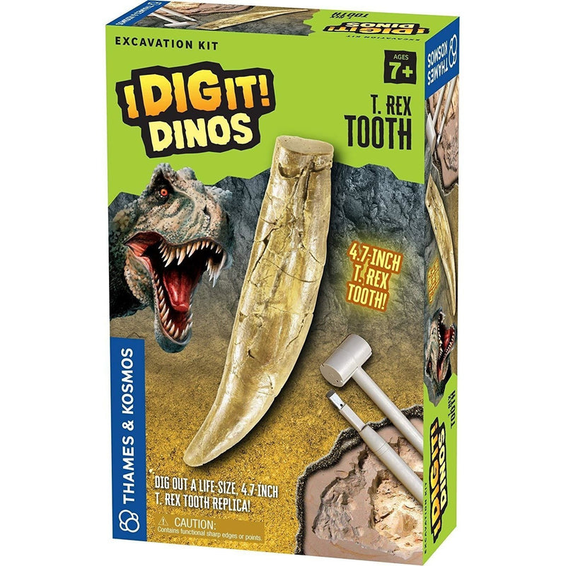 Thames & Kosmos I Dig It! Dinos - T. Rex Tooth Excavation Kit