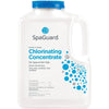 Spa Sanitizers - SpaGuard Chlorinating Concentrate